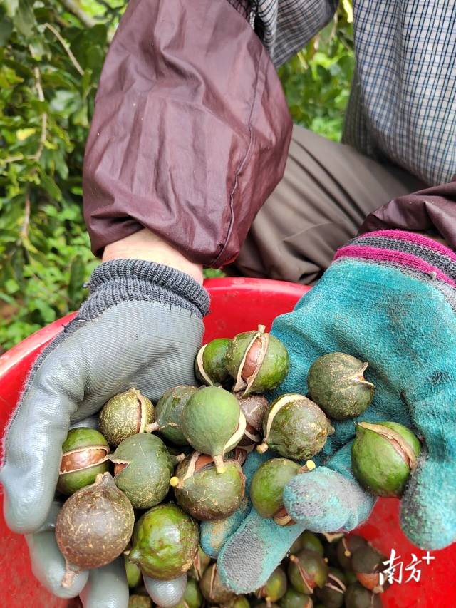 图源:阳江日报 图源:阳江日报