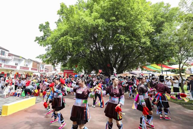 贵州嬢嬢带来的侗族芦笙舞为岭南的丰收图景注入了浓郁的黔贵风情。