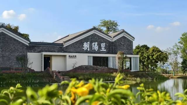 朝阳里·湾区中国村项目的落地，让“空心村”蝶变“网红村”。（“肇庆发布”李智聪 摄）