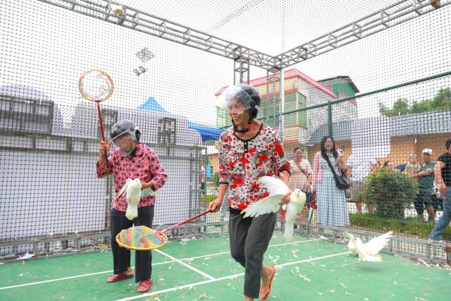 新丰的套福鸽游戏，让乡亲们笑声不断。