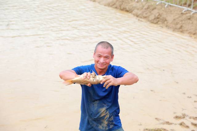 新丰分会场的摸鱼游戏，让人们有了亲近田野的机会。