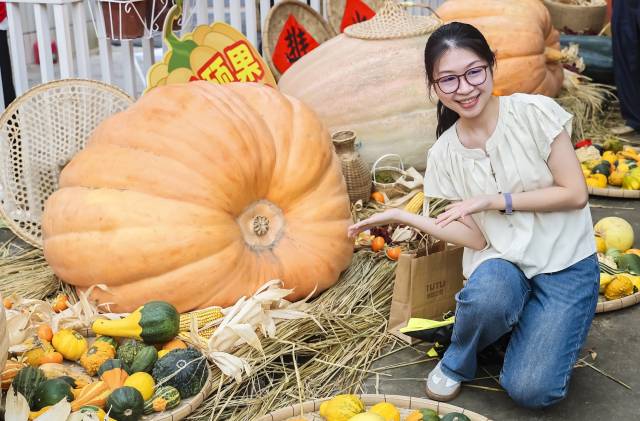 活动现场，巨型南瓜引来观众争相合影。