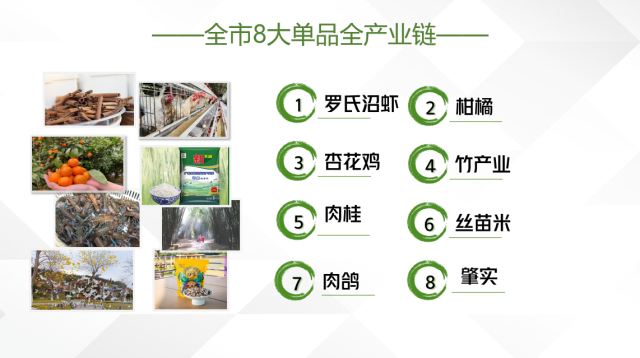 肇庆着力打造罗氏沼虾、柑橘、杏花鸡、竹产业、肉桂、丝苗米、肉鸽、肇实等8个单品全产业链。（资料图片）
