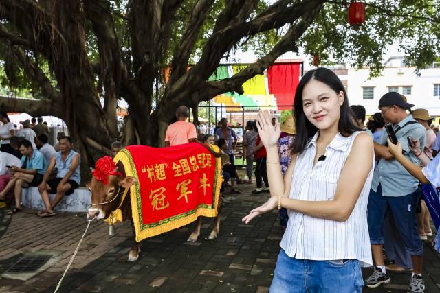 “村超”全国总冠军的“礼物”——冠军牛。