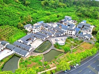 梅县区雁洋镇：三色同辉 三产融合 三线同美｜百千万·镇在拼