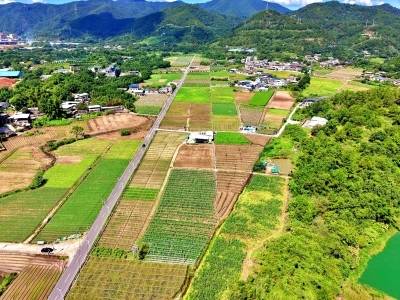 梅县区白渡镇悦一村：荒地变基地 蔬菜产业兴｜百千万·新“镜”界