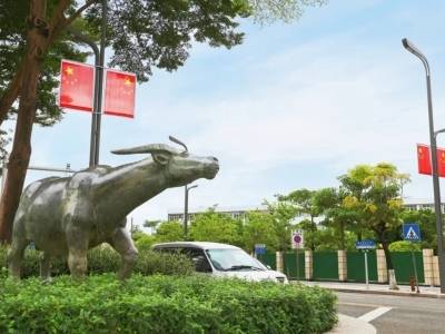 视频｜“中国红”飘扬！望牛墩国庆氛围已拉满→