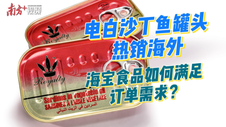 电白沙丁鱼罐头热销海外，海宝食品如何满足订单需求？