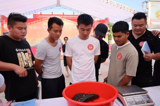 参赛选手“以目代秤”。 参赛选手“以目代秤”。