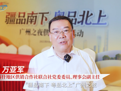 视频｜喀什地区供销合作社联合社党委委员、理事会副主任万亚军推介喀什地区名优产品