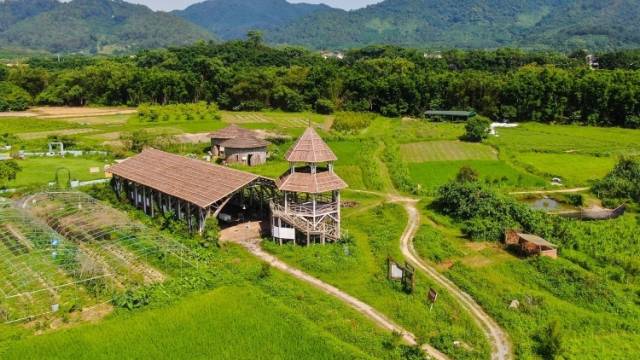 桂南村焕新记：中山国企力量赋能乡村美丽蝶变