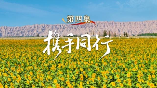 纪录片《大道同心》第四集：携手同行 | 庆祝新疆维吾尔自治区成立70周年