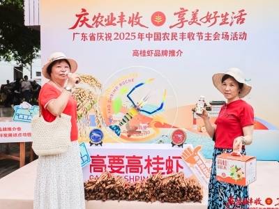 观察 | 乘“丰”而起的“高桂虾”，游向百亿级产业赛道