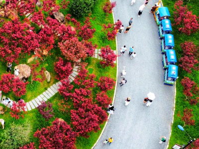 广州双节逛买全攻略！11区“宝藏”等你来挖