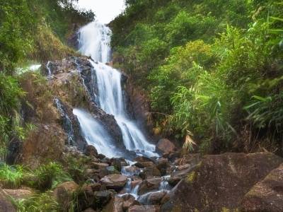 高见｜香山圩重启能否成为高明文旅的“生态破局”？