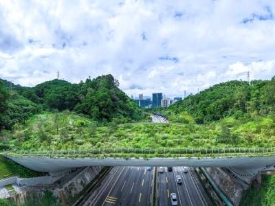 @深圳人，行经这些道路，要注意→