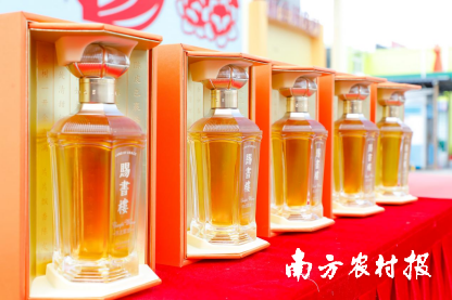 新会陈皮露酒受热捧，“新会陈皮+”集市崭露头角