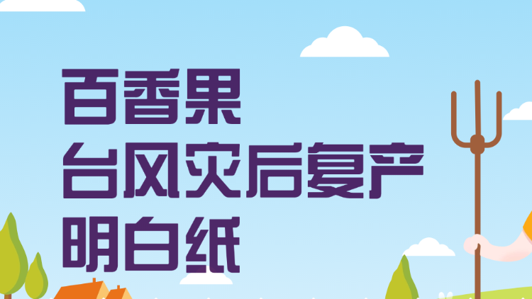 百香果台风灾后复产明白纸