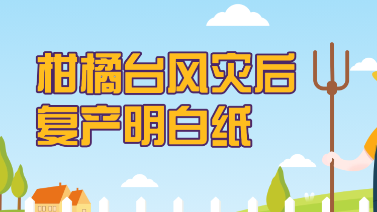 柑橘台风灾后复产明白纸