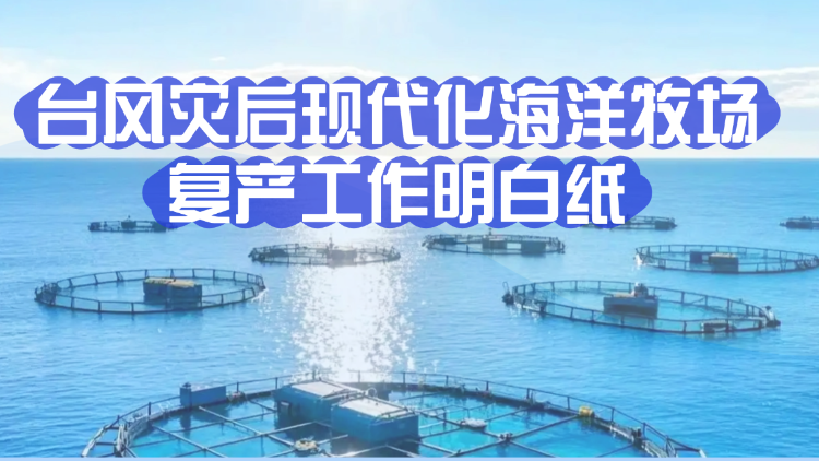 台风灾后现代化海洋牧场复产工作明白纸