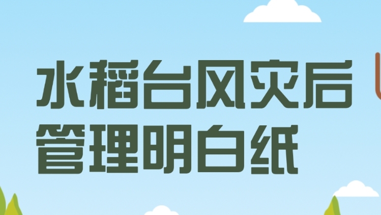 水稻台风灾后管理明白纸