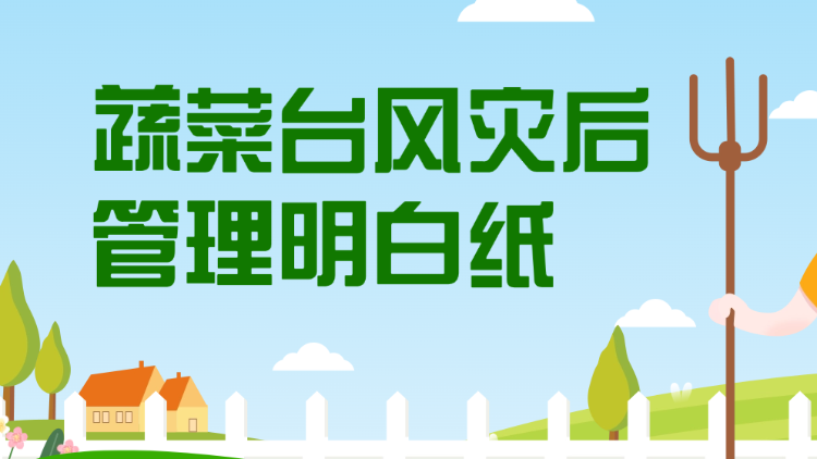 蔬菜台风灾后管理明白纸
