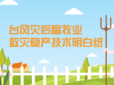 台风灾后畜牧业救灾复产技术明白纸