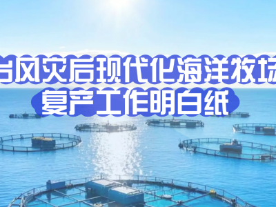 台风灾后现代化海洋牧场复产工作明白纸
