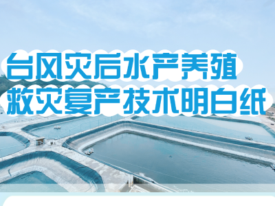 台风灾后水产养殖救灾复产技术明白纸