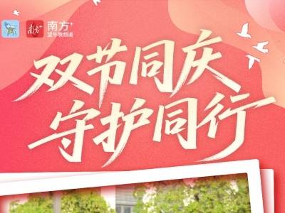这个假期，望牛墩这些“不回家”的人都在忙啥？｜国庆进莞来