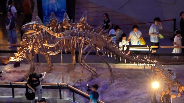 国庆假期人气爆棚！广东省博等文化场馆受热捧