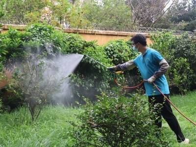 过去一周，广东新增报告3181例基孔肯雅热本地个案