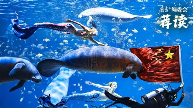 佳节有“粤”，人气爆棚 | 南方+编委会一周荐读