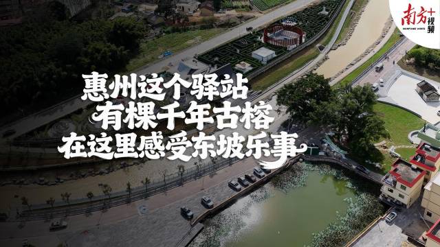 惠州这个驿站有棵千年古榕！尽享东坡乐事｜寻迹218最美公路㉔