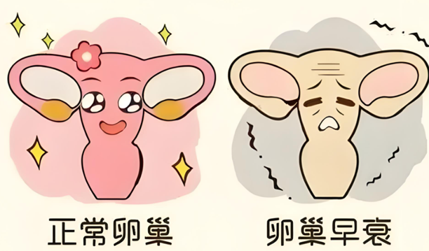 卵巢早衰盯上90后?请注意生育的预警信号