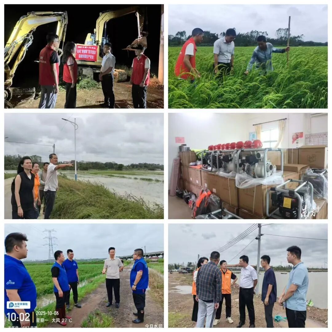 27小时赔付超6500万元!湛江保险业助力台风“麦德姆”灾后复产_南方+_南方plus