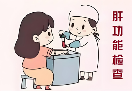 如何解读肝功能检查报告?让我们一起来看看!