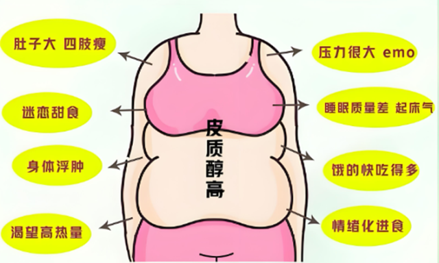 压力激素“皮质醇”。如何悄悄改写你的身材、情绪和寿命?