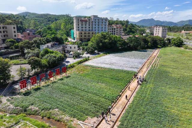 悦理轩：中华体育精神薪火相传