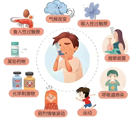 哮喘发作像窒息!这些触发因素一定要避开