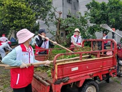 江门大道｜立法防控基孔肯雅热，人人参与人人有责