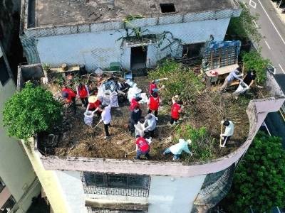 全民全域“两清一灭”，江门基孔肯雅热防控形势持续向好