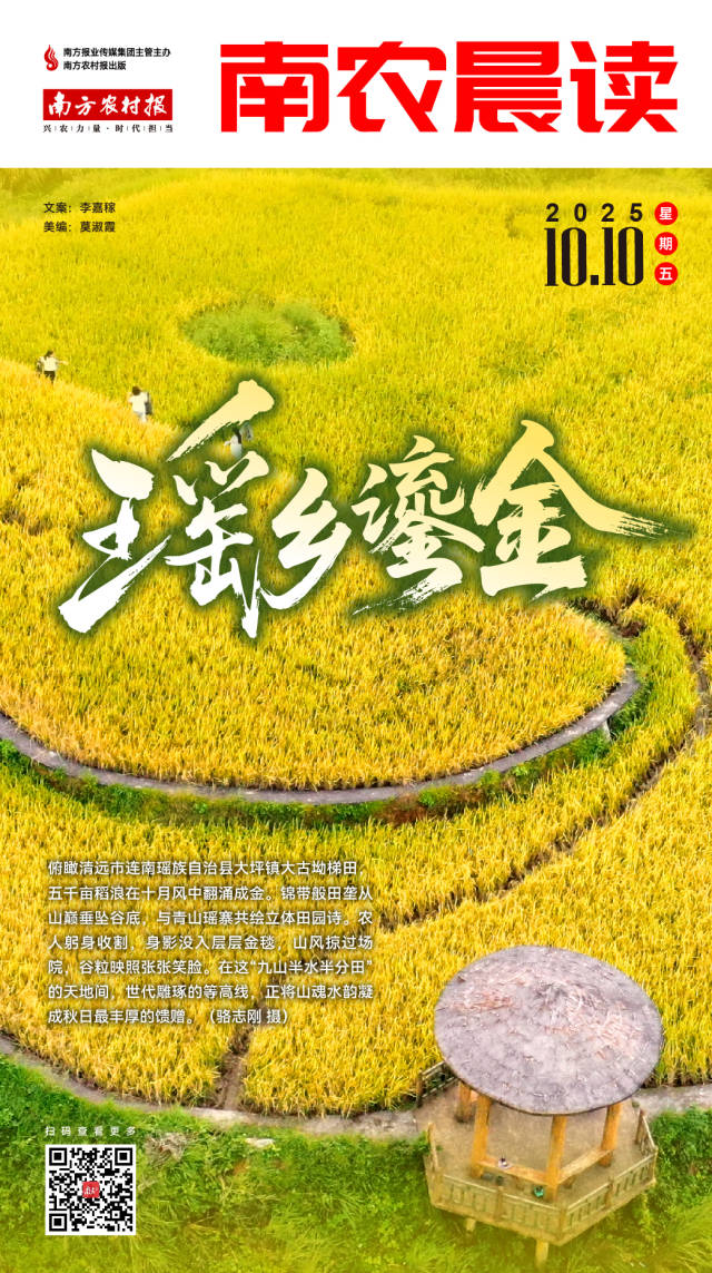 南方农村报 李嘉镓 制图