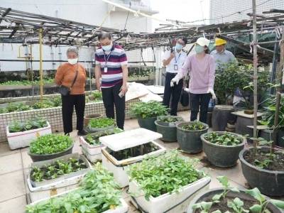 视频｜防控基孔肯雅热，省疾控专家为江门市民支招