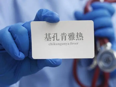 仲恺开设51个基孔肯雅热登革热免费核酸便民采样点