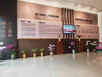 鹏举仙邑 兰之猗猗 翁源兰花展在深圳启幕