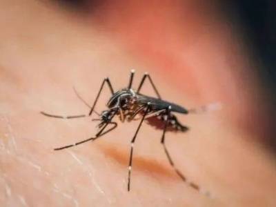 惠城区启用50个基孔肯雅热便民采样点，提供免费检测服务