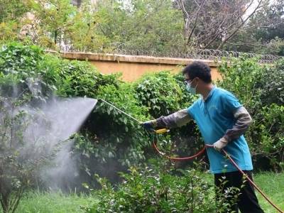 省级专家解读江门立法防控基孔肯雅热：正当、适配、及时