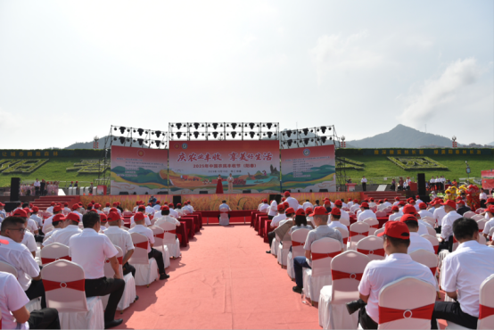 百桌春砂仁宴飘香！阳江阳春市欢庆2025中国农民丰收节