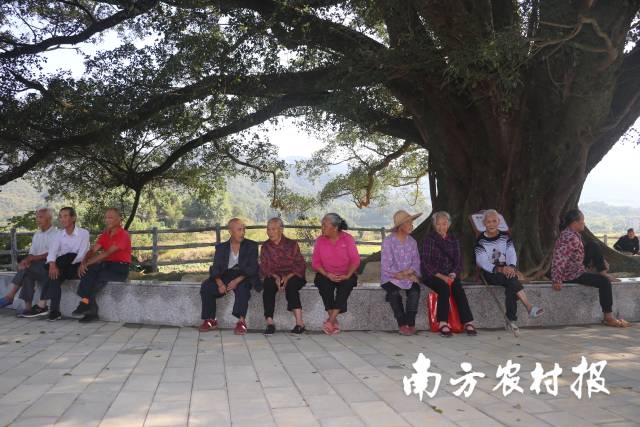 韶关市仁化县红锥古树公园。